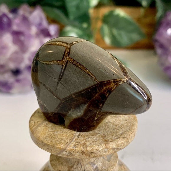 Geode Septarian Nodule Bear Figurine Carved Zuni Style Dragon Stone Carving 2" - Picture 4 of 12